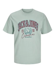 Jack & Jones T-Shirt JorPalms Regular-Fit Basic Grün/Hellblau/Türkis/Hellgrün/Blau