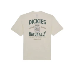 Dickies T-Shirt Elliston Khaki/Grau/Beige/Braun/Grün/Hellgrün