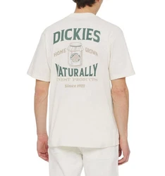 Dickies T-Shirt Elliston Khaki/Grau/Beige/Braun/Grün/Hellgrün