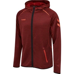 Sweatshirt hmlAuthentic Pro Zip Hoodie