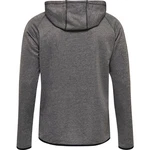 hummel Sweatshirt hmlAuthentic Pro Zip Hoodie Dunkelgrau/Hellgrau/Grau