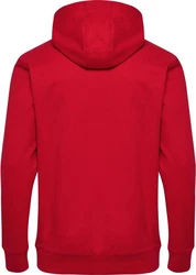 hummel Kapuzenpullover Hmlgo 2.0 Logo Hoodie Rot/Dunkelrot