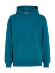Tommy Jeans Kapuzensweatshirt TJM RLX SIGNATURE HOODIE EXT 