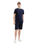 TOM TAILOR Shorts Tech Chino Bermudas Dunkelblau/Hellblau