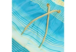 Speedo Badeshorts Placement Leisure Watershort blau/gelb