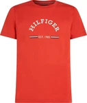 Tommy Hilfiger T-Shirt RWB ARCH GS TEE Orange/Rot