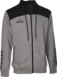 Derbystar Kapuzen-Sweatjacke Ultimo (v23) Hellgrau/Grau/Dunkelgrau