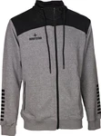Derbystar Kapuzen-Sweatjacke Ultimo (v23) Hellgrau/Grau/Dunkelgrau