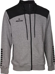 Derbystar Kapuzen-Sweatjacke Ultimo (v23) Hellgrau/Grau/Dunkelgrau