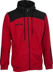 Derbystar Kapuzen-Sweatjacke Ultimo (v23) Hellgrau/Grau/Dunkelgrau