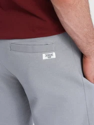 OMBRE Sweatshorts Herrenshorts Hellgrau/Grau