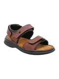 Braune Josef Seibel Sandalen image