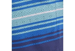 FIREFLY Badeshorts Noel M BLUE ROYAL