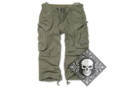 Brandit Cargoshorts Industry 