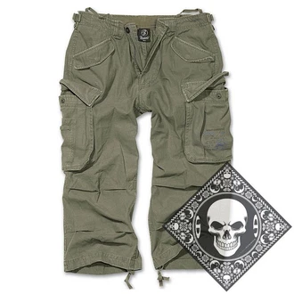 Brandit Cargoshorts Industry