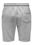 ONLY & SONS Shorts 'Ceres' Hellgrau/Grau