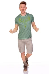 Trachtenshirt Trachtenshirt Herren - DENNIS - erde, tanne