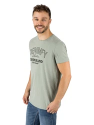 DENIMFY T-Shirt Herren Printshirt DFNuri Regular Fit Grün/Dunkelgrün/Hellgrün/Khaki