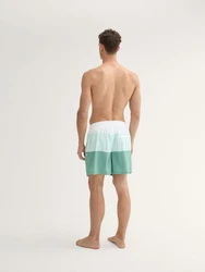 TOM TAILOR Badeshorts Basic (123456) Grün/Mintgrün