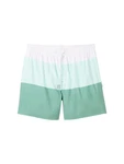 TOM TAILOR Badeshorts Basic (123456) Grün/Mintgrün