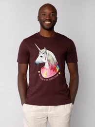 T-Shirt Flash, the unicorn
