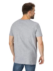 DENIMFY T-Shirt Herren Printshirt DFNuri Regular Fit Grau/Dunkelgrau