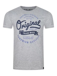 DENIMFY T-Shirt Herren Printshirt DFNuri Regular Fit Grau/Dunkelgrau