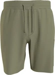 Tommy Hilfiger Sweatshorts FLAG LOGO BADGE SWEATSHORTS 