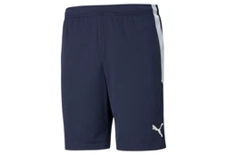 PUMA Trainingsshorts TEAMLIGA TRAINING SHORTS Dunkelblau