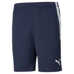 PUMA Trainingsshorts TEAMLIGA TRAINING SHORTS Dunkelblau