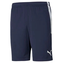 Trainingsshorts TEAMLIGA TRAINING SHORTS