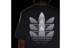 adidas Originals Graphic T-Shirt 