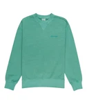 Element Sweatshirt Cornell 3.0 Grün/Türkis