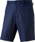 FIREFLY Chinoshorts H-Shorts Marvel Navy Dark