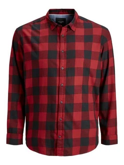 Jack & Jones Langarmhemd JJEGINGHAM