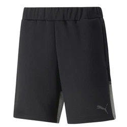 PUMA Shorts Hose Casuals 