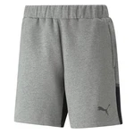 PUMA Shorts Hose Casuals Grau/Dunkelgrau/Hellgrau