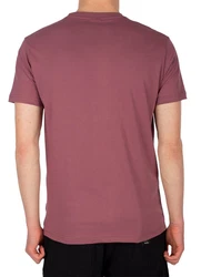 iriedaily T-Shirt Iriedaily Chestflag pflaume