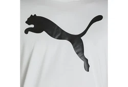 PUMA T-Shirt Active Big Logo T-Shirt Herren Grau/Dunkelgrau/Hellgrau
