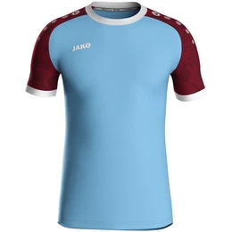 Kurzarmshirt Trikot Iconic KA lightblue/weinrot