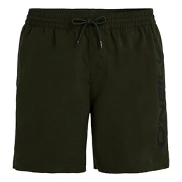 Badeshorts Cali 16 Swim Shorts mit groem Markenschriftzug