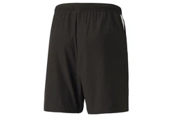 PUMA Trainingsshorts TEAMLIGA SIDELINE SHORTS Schwarz/Grau/Dunkelgrau