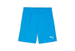 PUMA Trainingsshorts TEAMGOAL Blau/Hellblau/Türkis