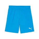 PUMA Trainingsshorts TEAMGOAL Blau/Hellblau/Türkis