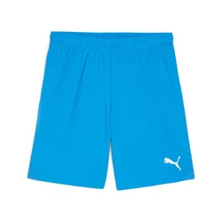 PUMA Trainingsshorts TEAMGOAL Blau/Hellblau/Türkis