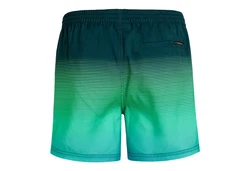 O'Neill Badeshorts Cali Gradient 15 