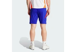 adidas Performance TIRO 24 COMPETITION TRAININGSSHORTS Mischfarben/Creme/Blau/Hellblau