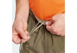 adidas TERREX Shorts TERREX MULTI SHORTS 