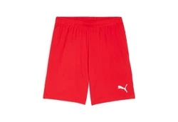 PUMA Trainingsshorts TEAMGOAL Rot