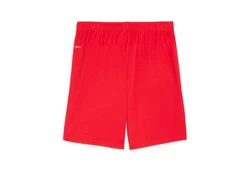 PUMA Trainingsshorts TEAMGOAL Rot